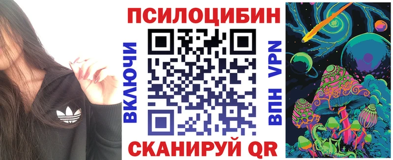 Псилоцибиновые грибы Magic Shrooms  Купить где  Ливны 